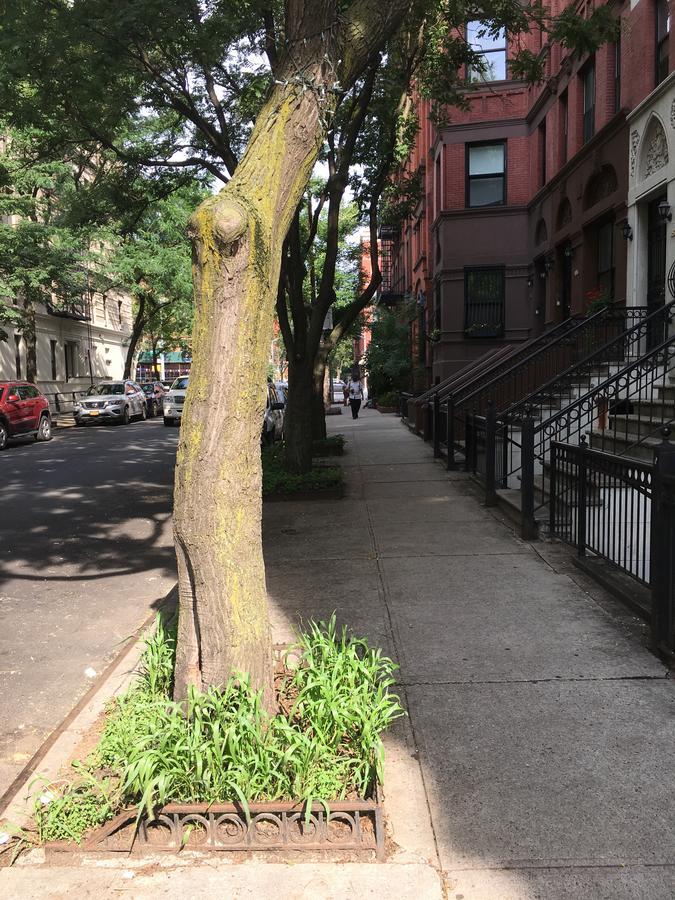 Nyc Townhouse Apartment New York Exterior photo